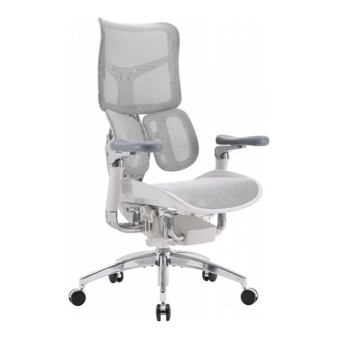 Офісне крісло Sihoo Doro S300 Mesh Light Grey (S300-M202)