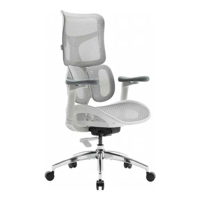 Офісне крісло Sihoo Doro S100 Mesh White (S100-M302)