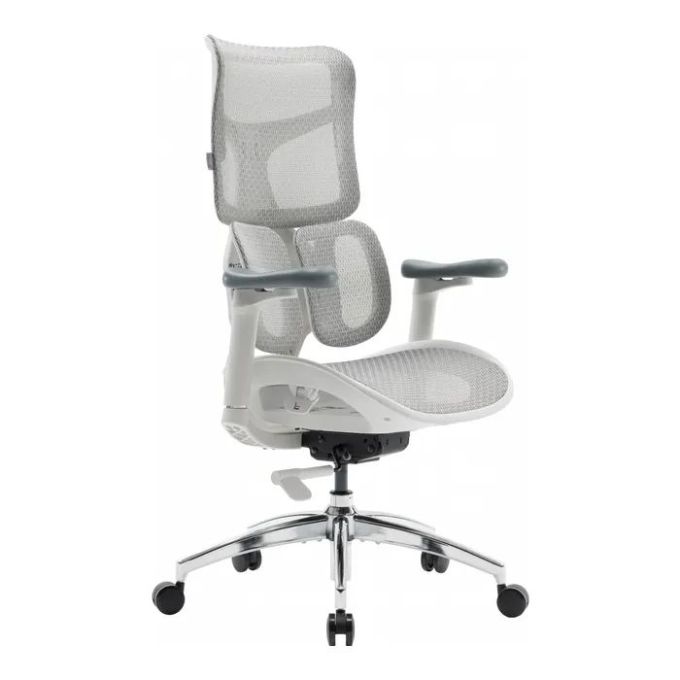 Офісне крісло Sihoo Doro S100 Mesh White (S100-M302)