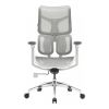 Офісне крісло Sihoo Doro S100 Mesh White (S100-M302)