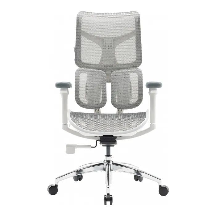 Офісне крісло Sihoo Doro S100 Mesh White (S100-M302)