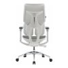 Офісне крісло Sihoo Doro S100 Mesh White (S100-M302)