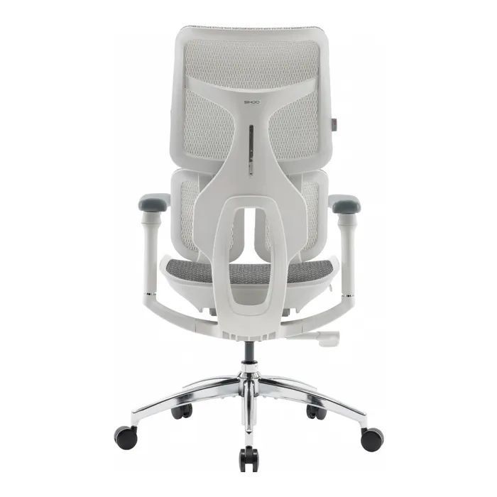 Офісне крісло Sihoo Doro S100 Mesh White (S100-M302)