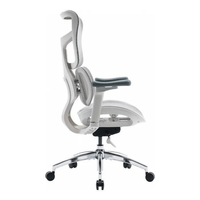 Офісне крісло Sihoo Doro S100 Mesh White (S100-M302)