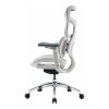 Офісне крісло Sihoo Doro S100 Mesh White (S100-M302)