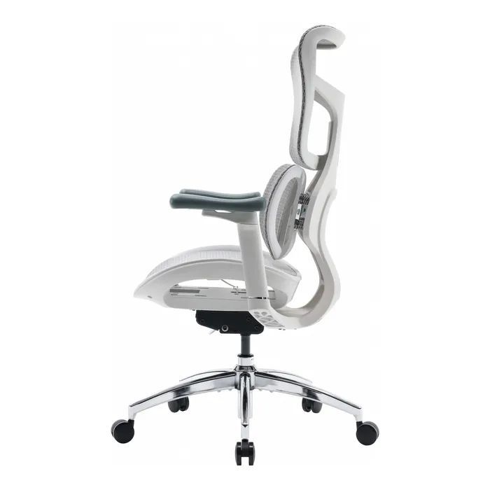 Офісне крісло Sihoo Doro S100 Mesh White (S100-M302)