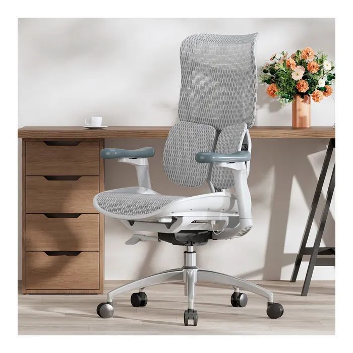 Офісне крісло Sihoo Doro S100 Mesh White (S100-M302)