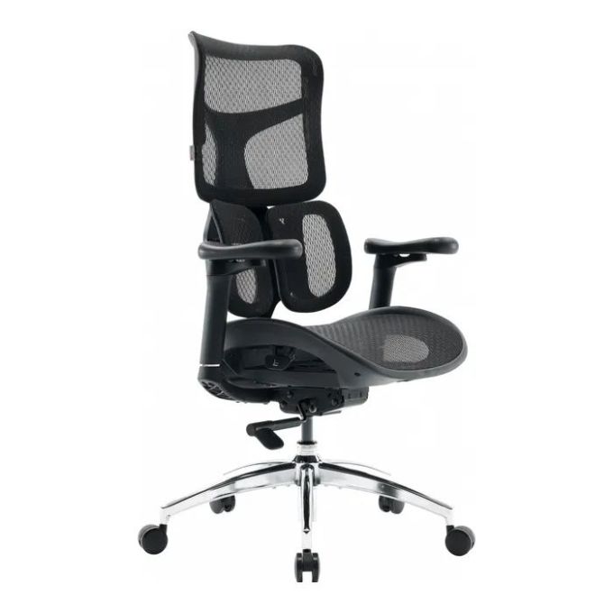 Офісне крісло Sihoo Doro S100 Mesh Black (S100-M301)