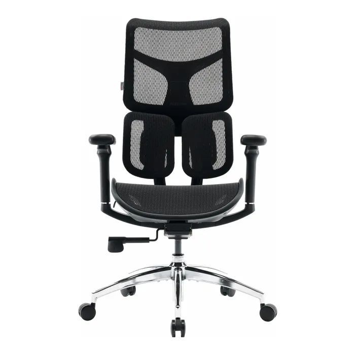 Офісне крісло Sihoo Doro S100 Mesh Black (S100-M301)