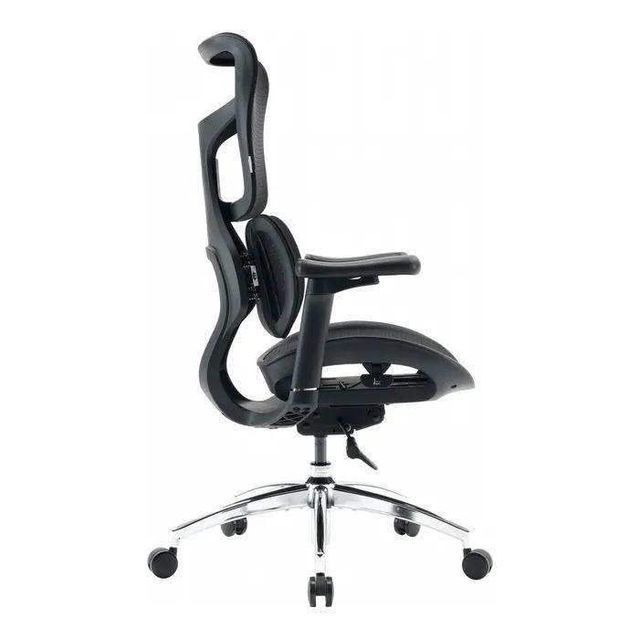 Офісне крісло Sihoo Doro S100 Mesh Black (S100-M301)