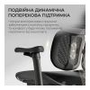 Офісне крісло Sihoo Doro S100 Mesh Black (S100-M301)