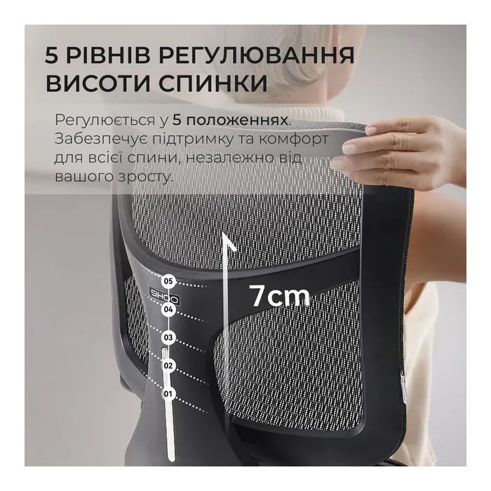 Офісне крісло Sihoo Doro S100 Mesh Black (S100-M301)
