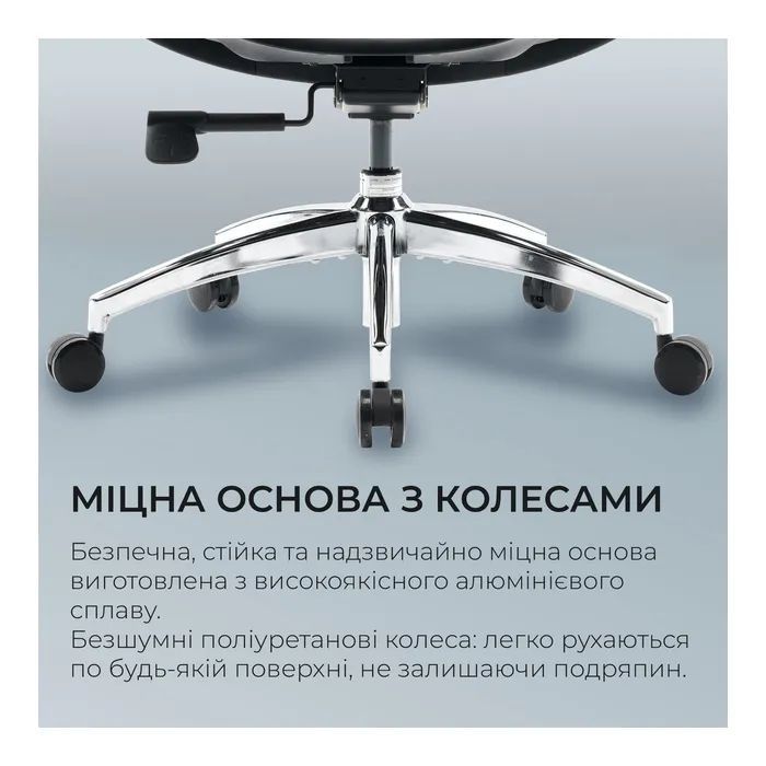 Офісне крісло Sihoo Doro S100 Mesh Black (S100-M301)