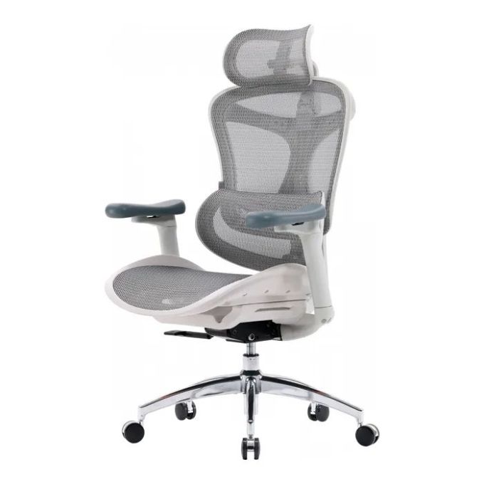 Офісне крісло Sihoo Doro C300L Mesh White (DORO-C300L-A3-102)