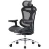 Офісне крісло Sihoo Doro C300L Mesh Black (DORO-C300L-A3-101)