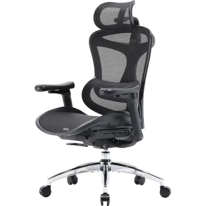 Офісне крісло Sihoo Doro C300L Mesh Black (DORO-C300L-A3-101)