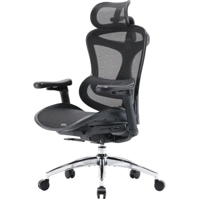 Офісне крісло Sihoo Doro C300L Mesh Black (DORO-C300L-A3-101)