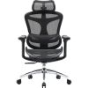 Офісне крісло Sihoo Doro C300L Mesh Black (DORO-C300L-A3-101)