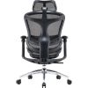 Офісне крісло Sihoo Doro C300L Mesh Black (DORO-C300L-A3-101)