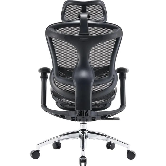 Офісне крісло Sihoo Doro C300L Mesh Black (DORO-C300L-A3-101)