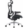 Офісне крісло Sihoo Doro C300L Mesh Black (DORO-C300L-A3-101)