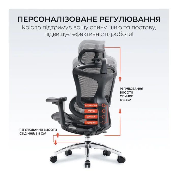 Офісне крісло Sihoo Doro C300L Mesh Black (DORO-C300L-A3-101)