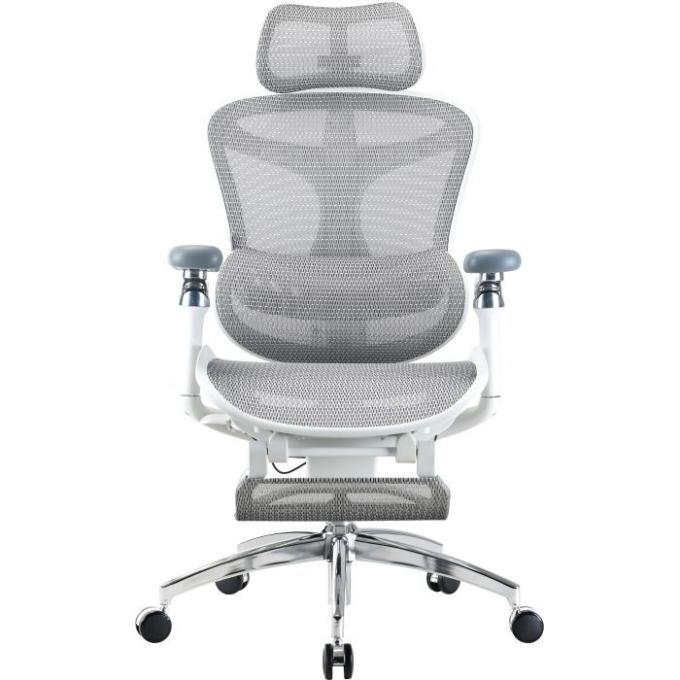 Офісне крісло з підставкою для ніг Sihoo DORO C300 Pro Mesh White (DORO-C300-PRO-M102-JT)
