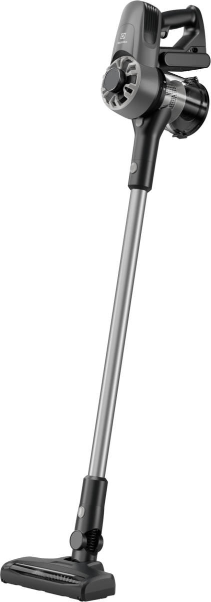 Пилосос Electrolux EP31CB21GP