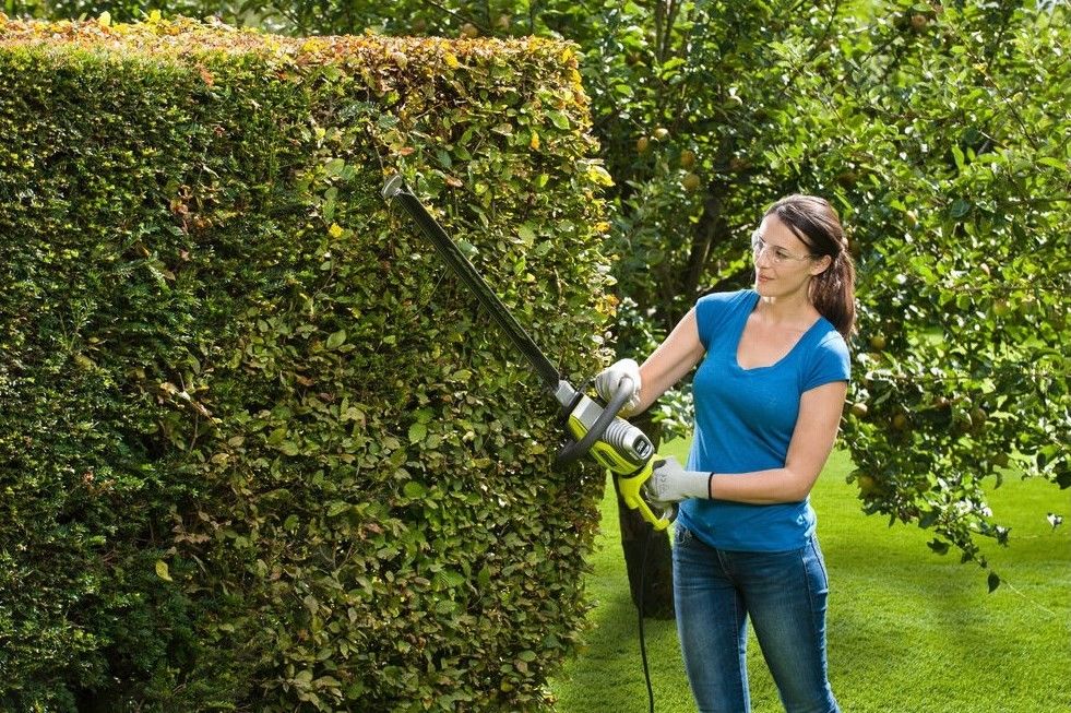 Кущоріз Ryobi RHT6760RL (5133003647)